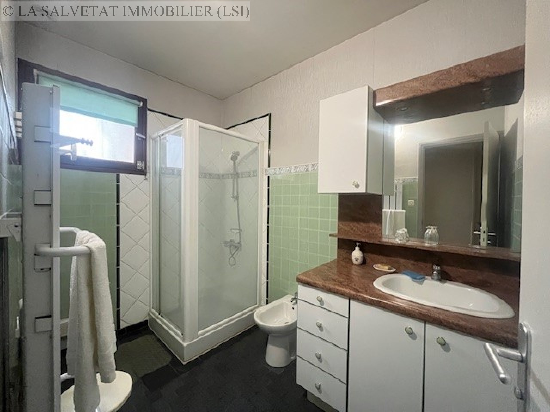 Vente maison-villa - LA SALVETAT ST GILLES<br>174 m², 10 pièces