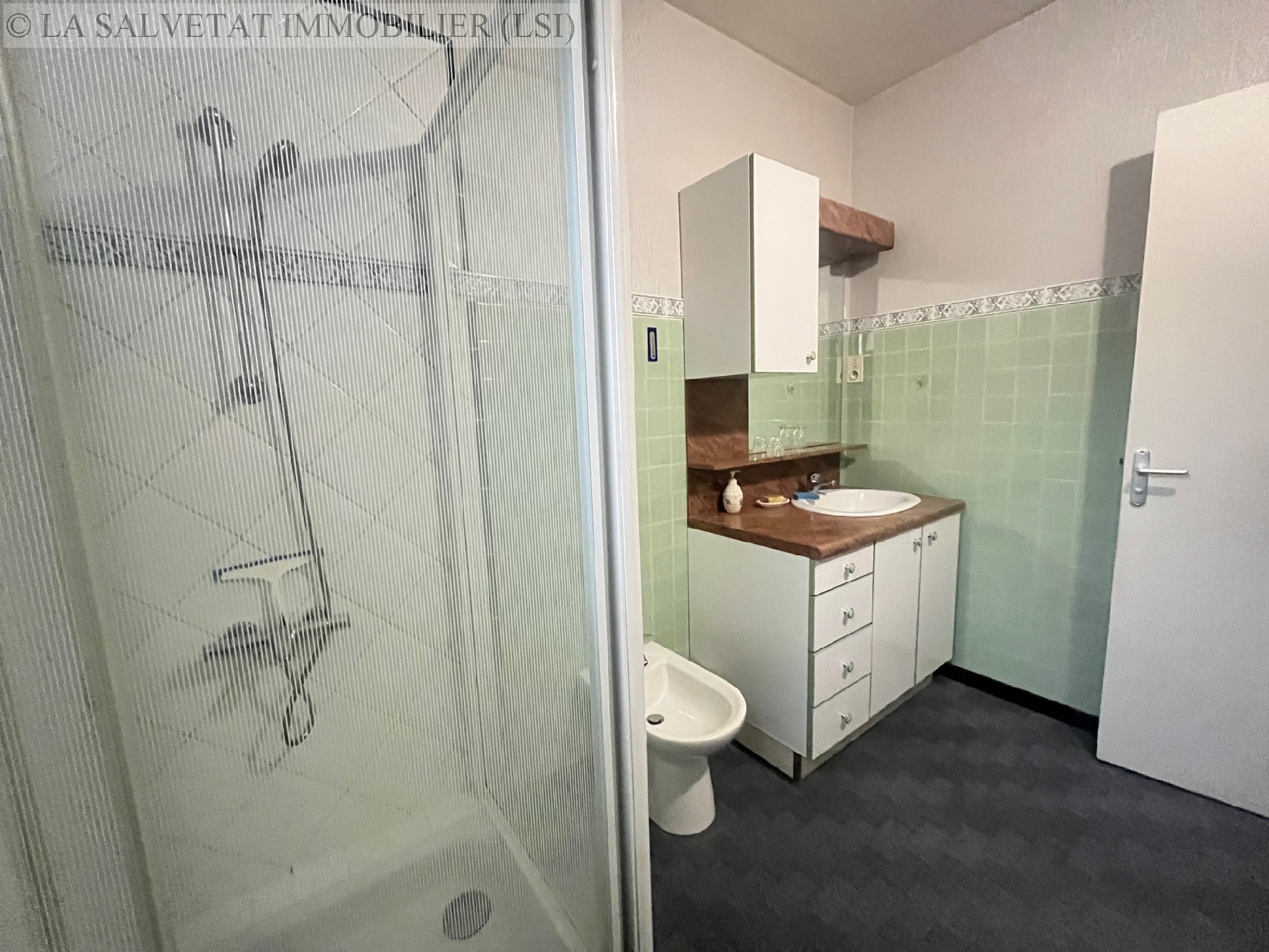 Vente maison-villa - LA SALVETAT ST GILLES<br>174 m², 10 pièces