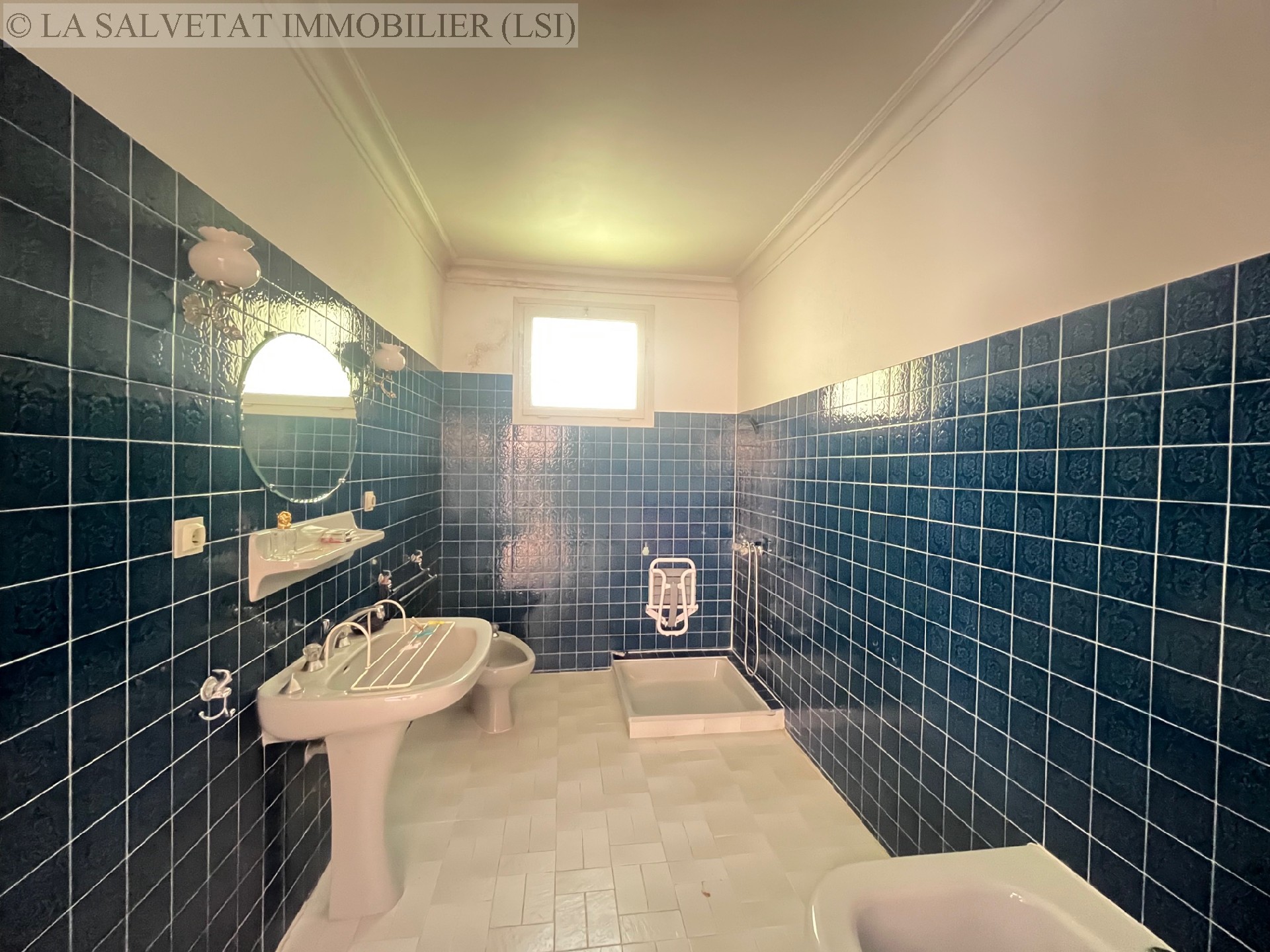 Vente maison-villa - LA SALVETAT ST-GILLES<br>170 m², 5 pièces