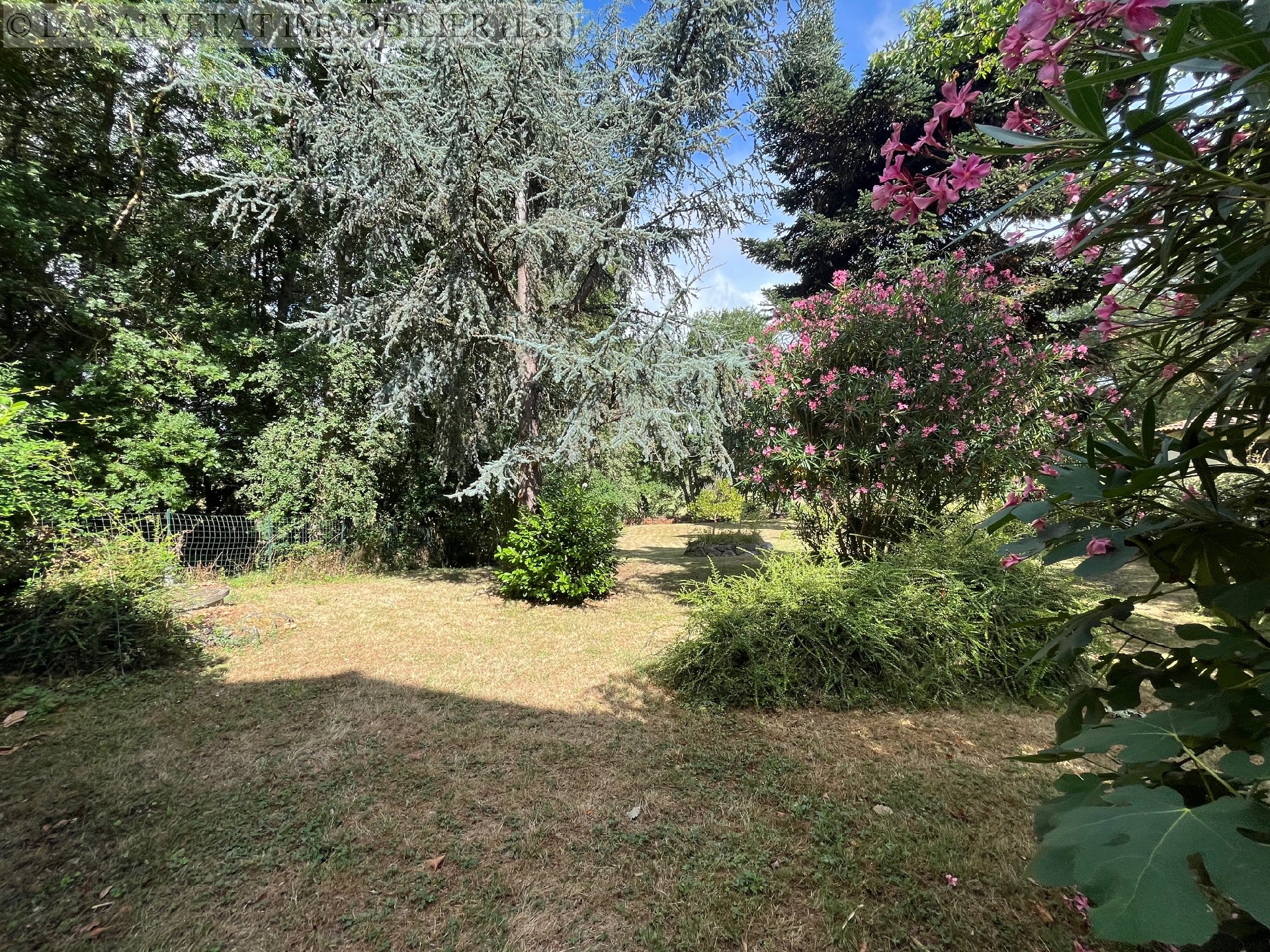 Vente maison-villa - LA SALVETAT ST-GILLES<br>170 m², 5 pièces