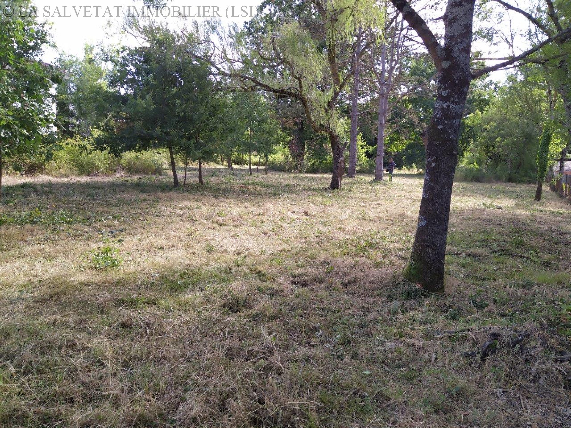 Vente terrain - LA SALVETAT ST GILLES<br>1464 m², terrain de 1464 m²
