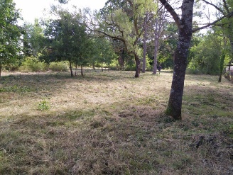 vente terrain LA SALVETAT ST GILLES  pieces, 1464m2