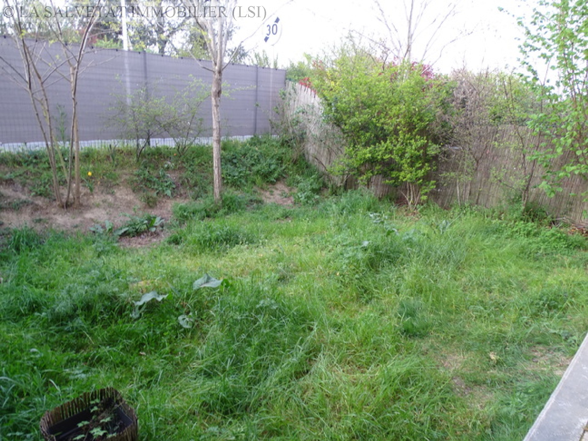 Location appartement - LA SALVETAT ST GILLES<br>41,22 m², 2 pièces