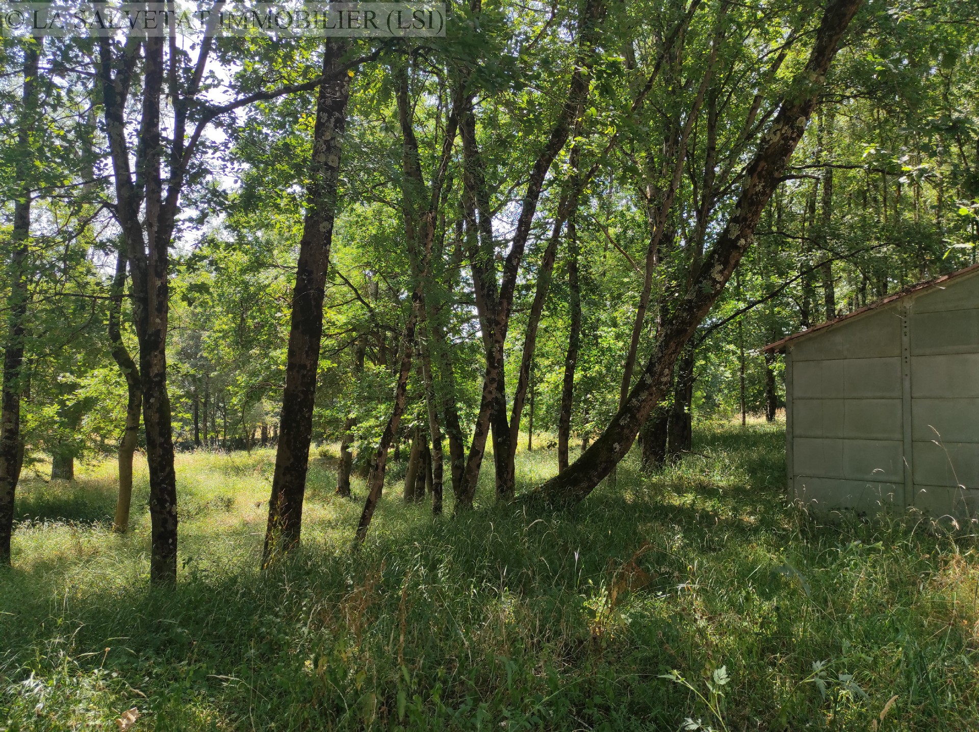 Vente terrain - FONTENILLES<br>6500 m², terrain de 6500 m²