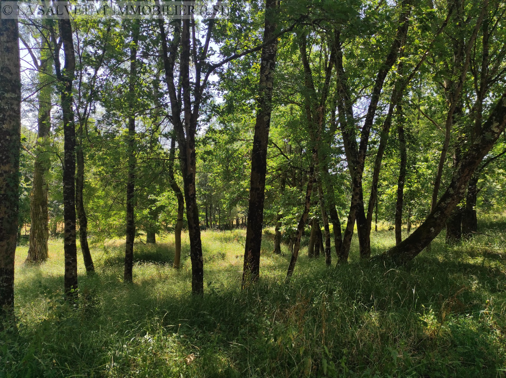 Vente terrain - FONTENILLES<br>6500 m², terrain de 6500 m²